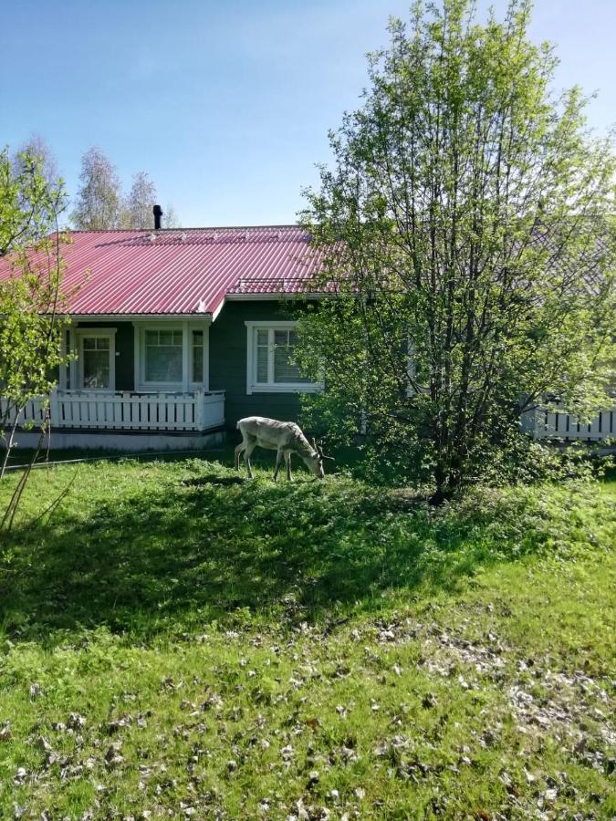 Ounasvaara Sport Cottages Rovaniemi Exterior photo